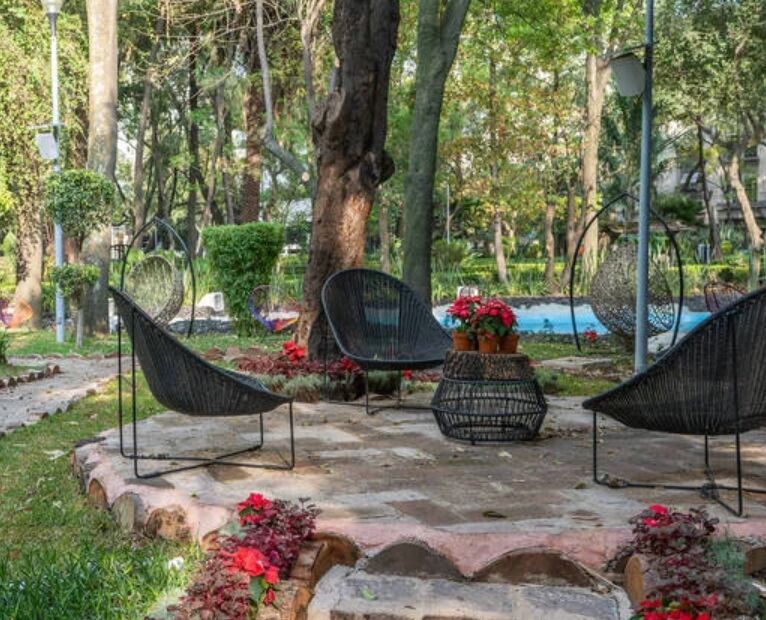 El Audiorama del Parque México: Todo lo que debes saber
